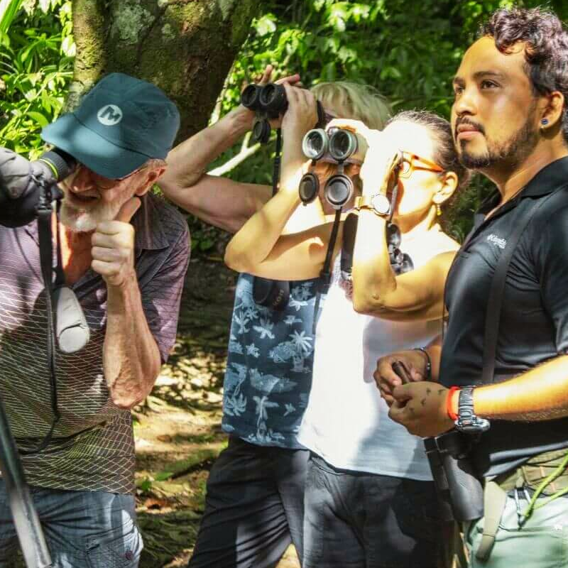 Corcovado Nationalpark