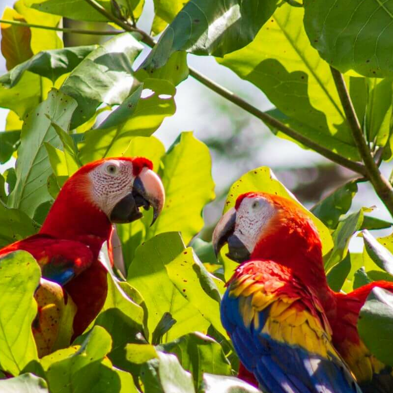 Costa Rica