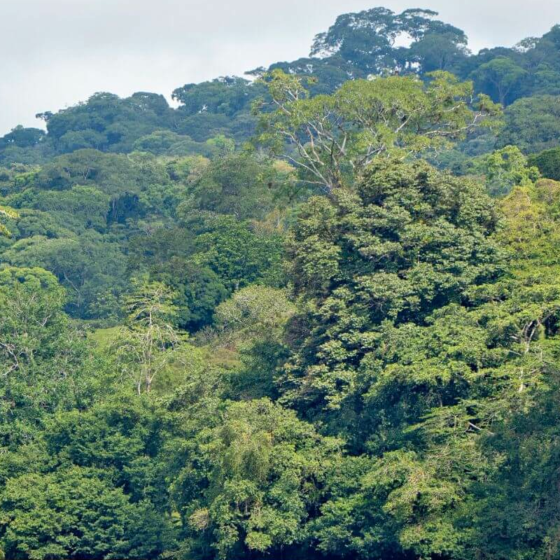 Costa Rica