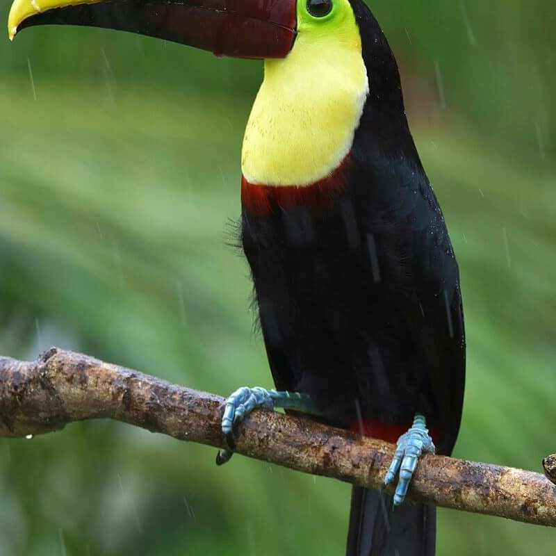 Costa Rica