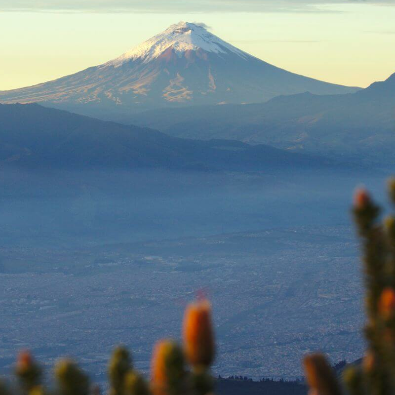 Cotopaxi Nationalpark