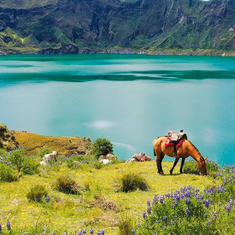 Cotopaxi Nationalpark