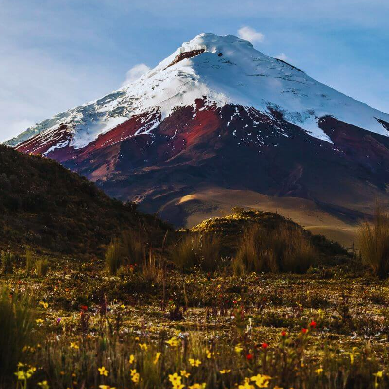 Cotopaxi Nationalpark