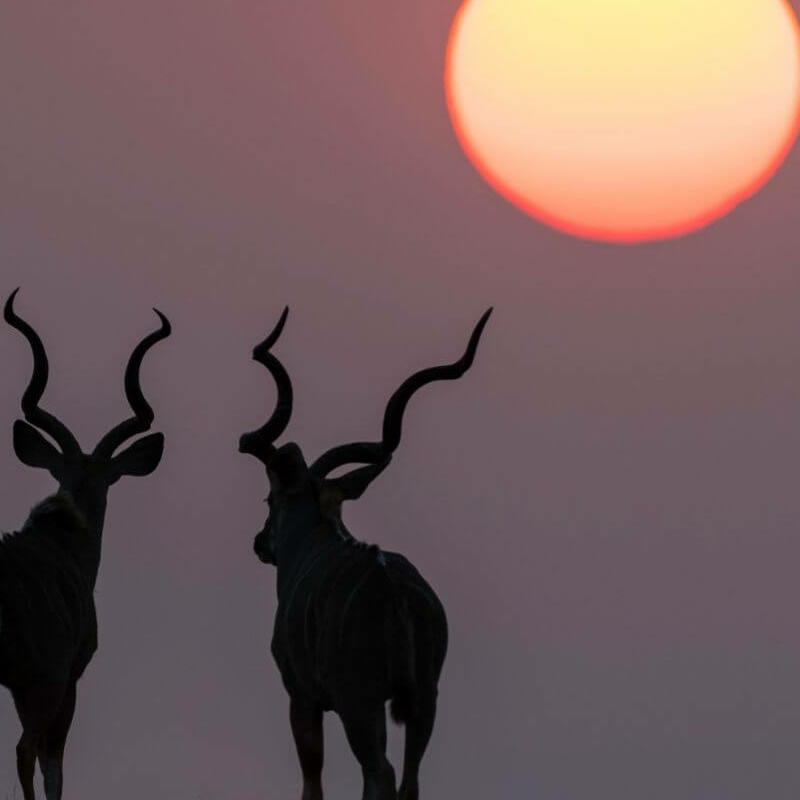 Damaraland