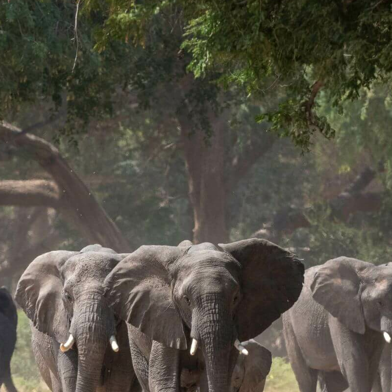 Damaraland
