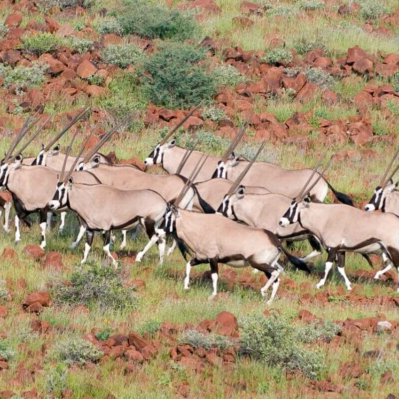 Damaraland