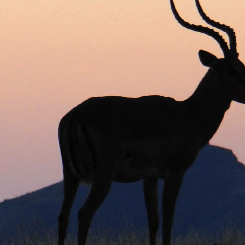 Damaraland