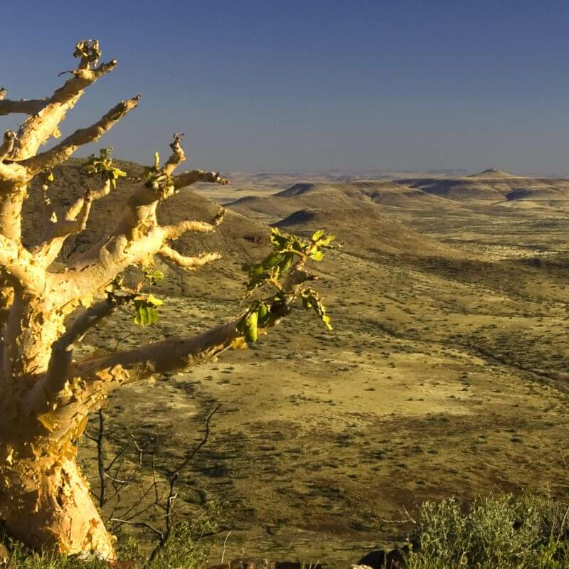 Damaraland