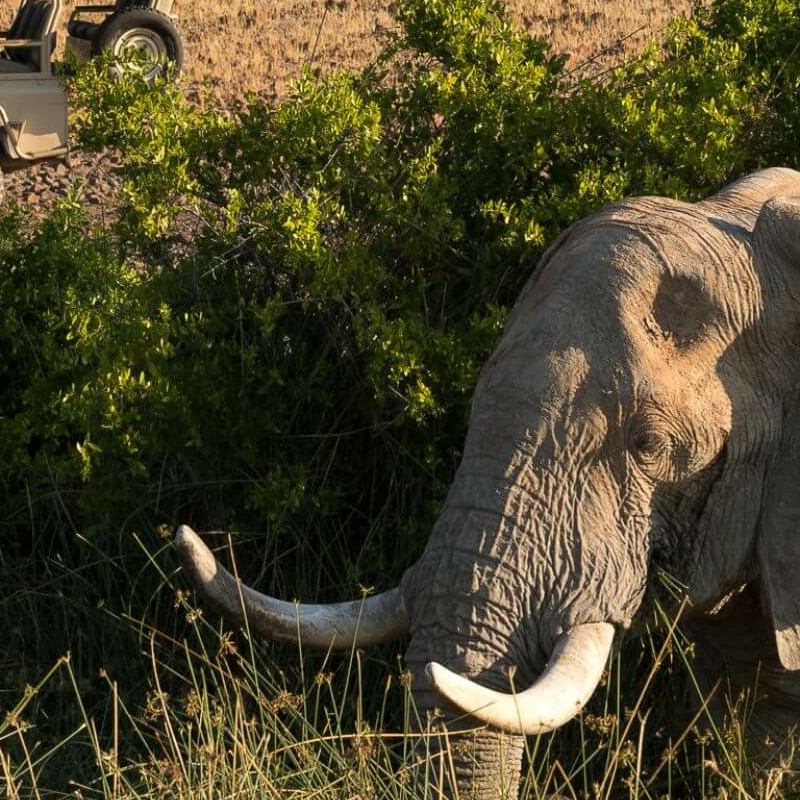 Damaraland