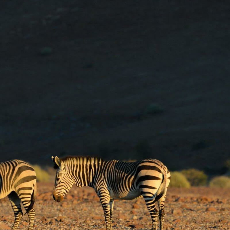 Damaraland