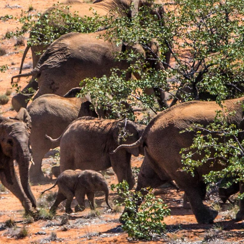 Damaraland
