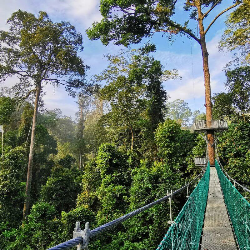 Danum Valley