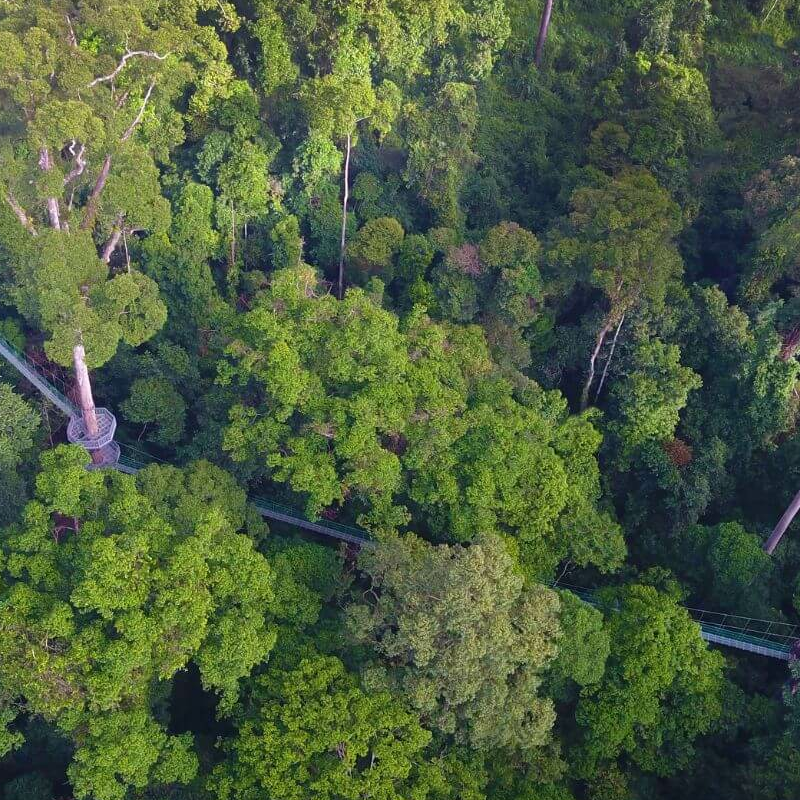 Danum Valley