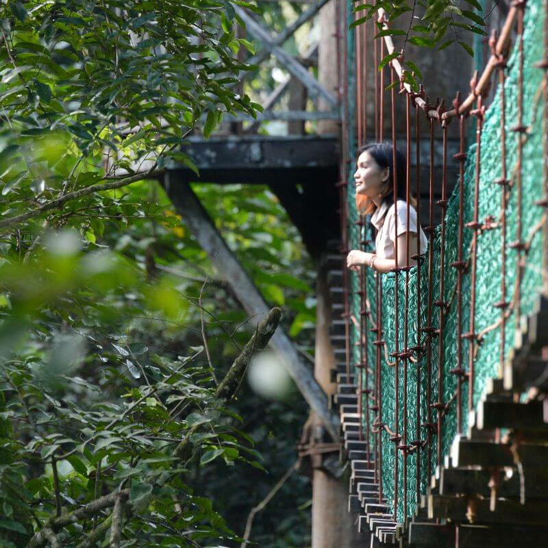 Danum Valley