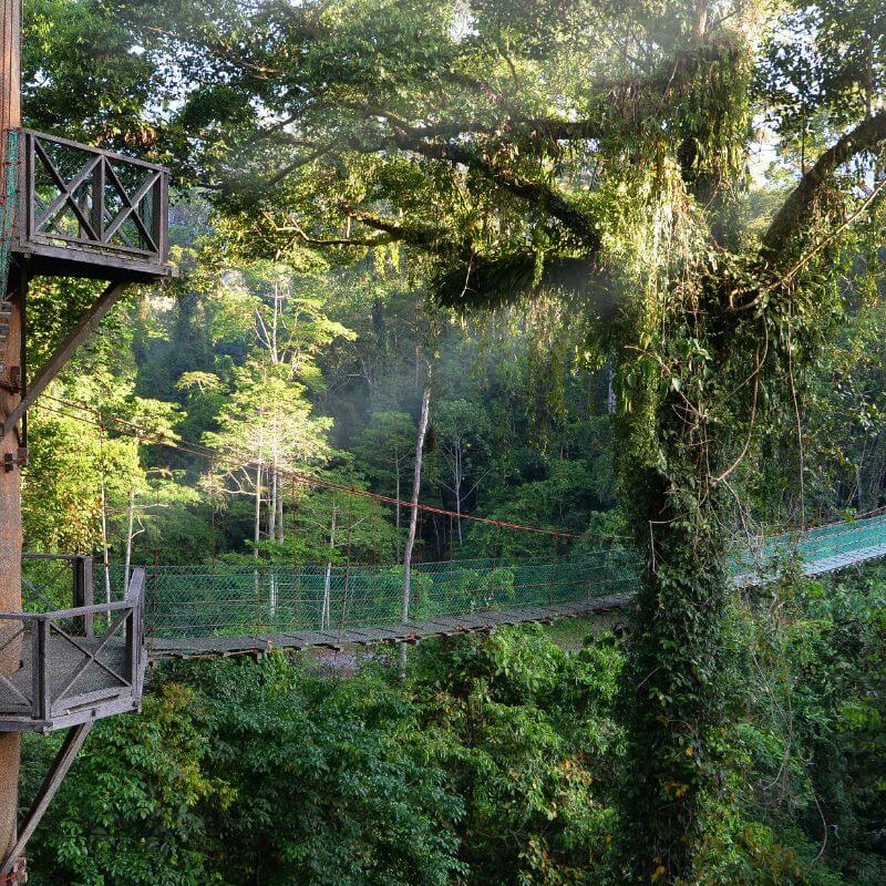 Danum Valley