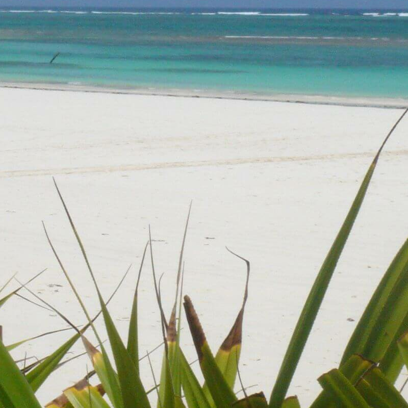 Diani Beach
