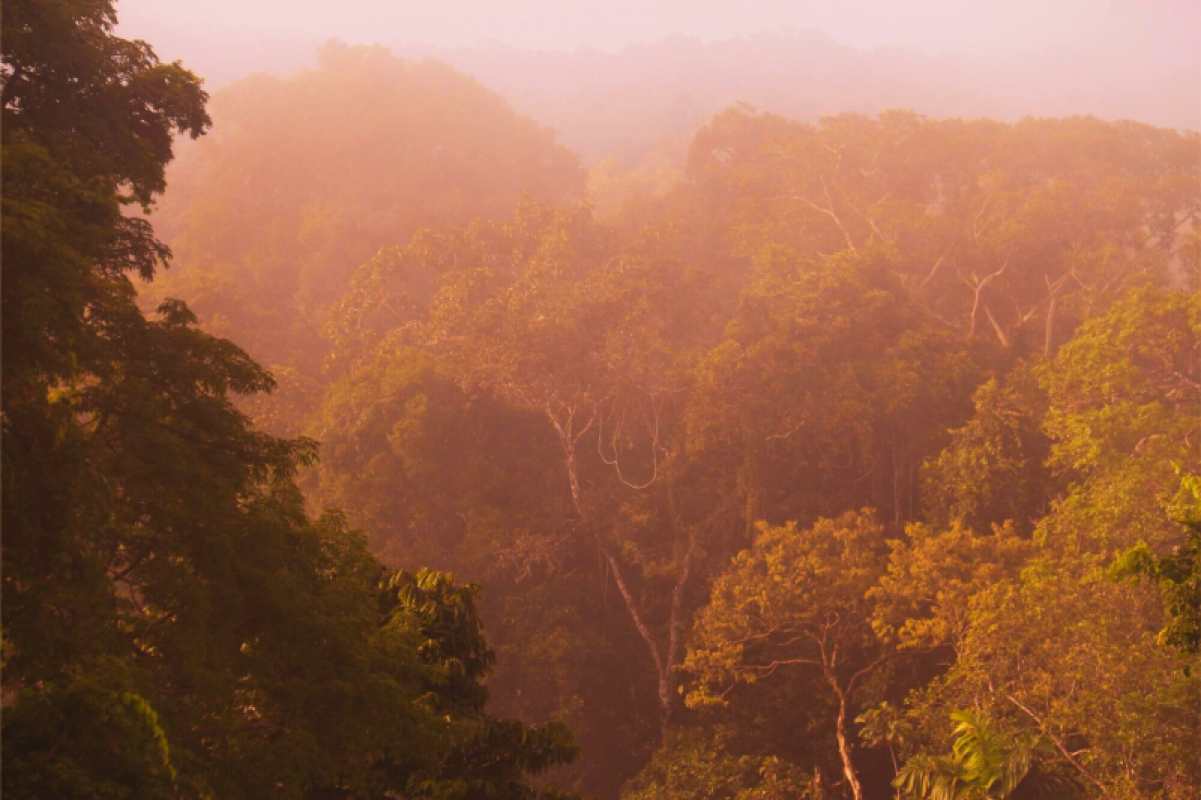 Ecuador Amazonas