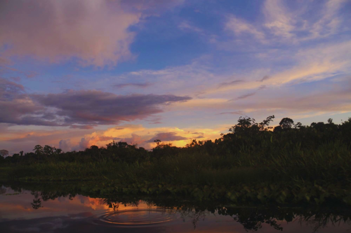 Ecuador Amazonas