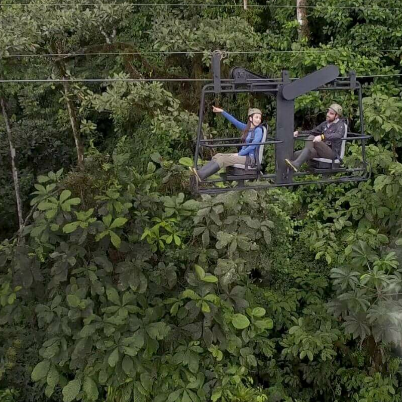 Ecuador Nebelwald