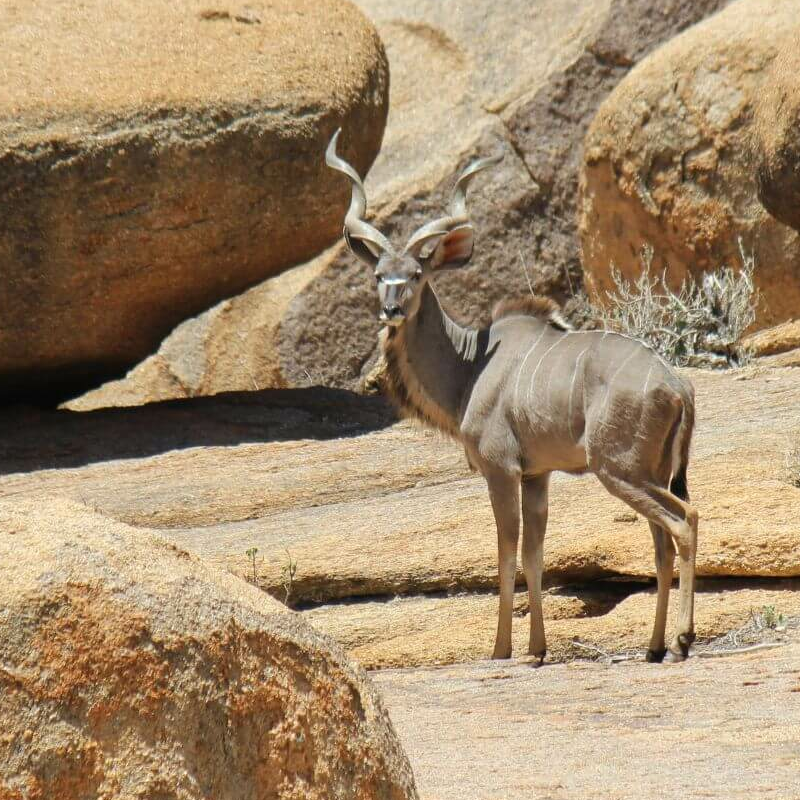 Erongo-Gebirge