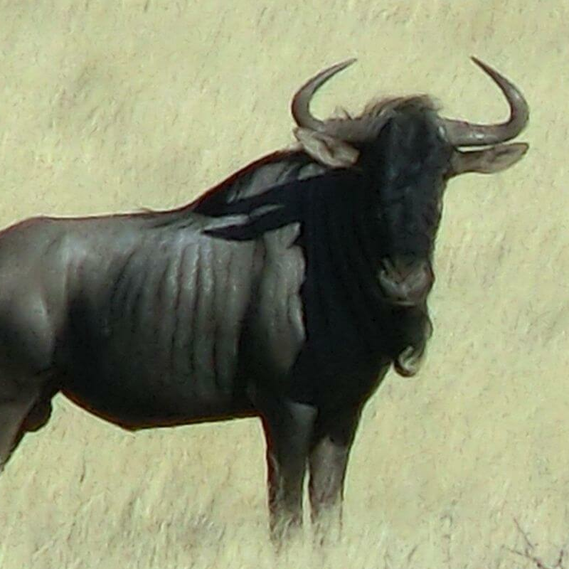 Erongo-Gebirge