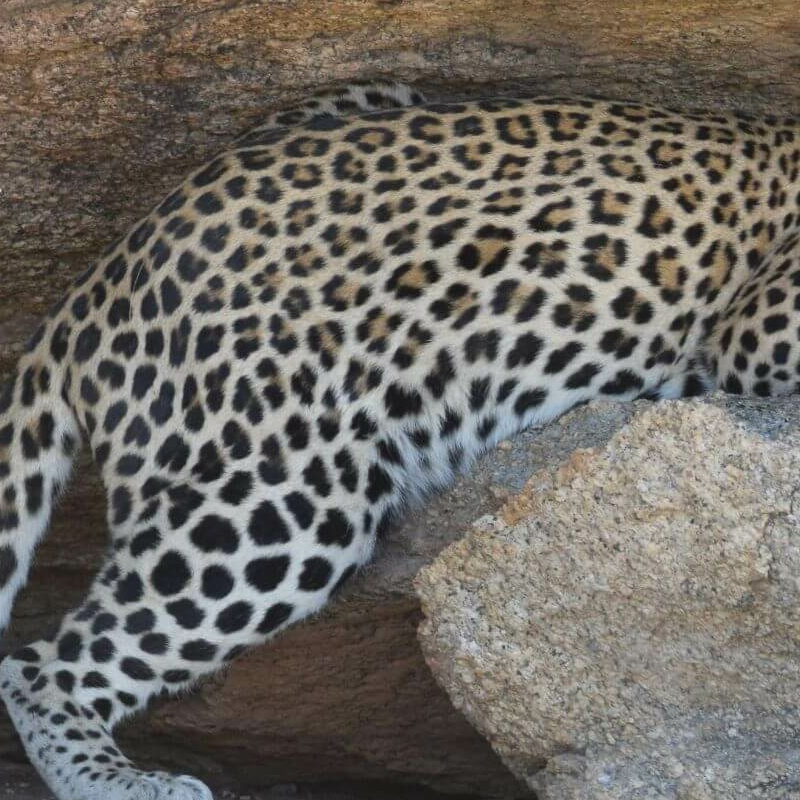 Erongo-Gebirge