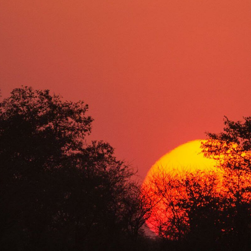 Etosha