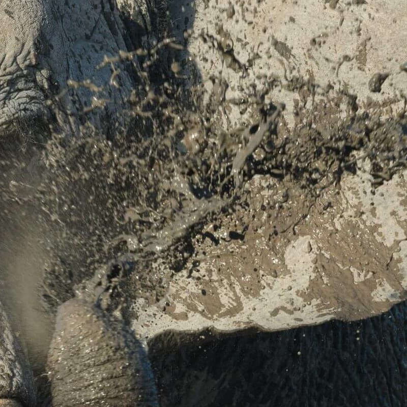 Etosha