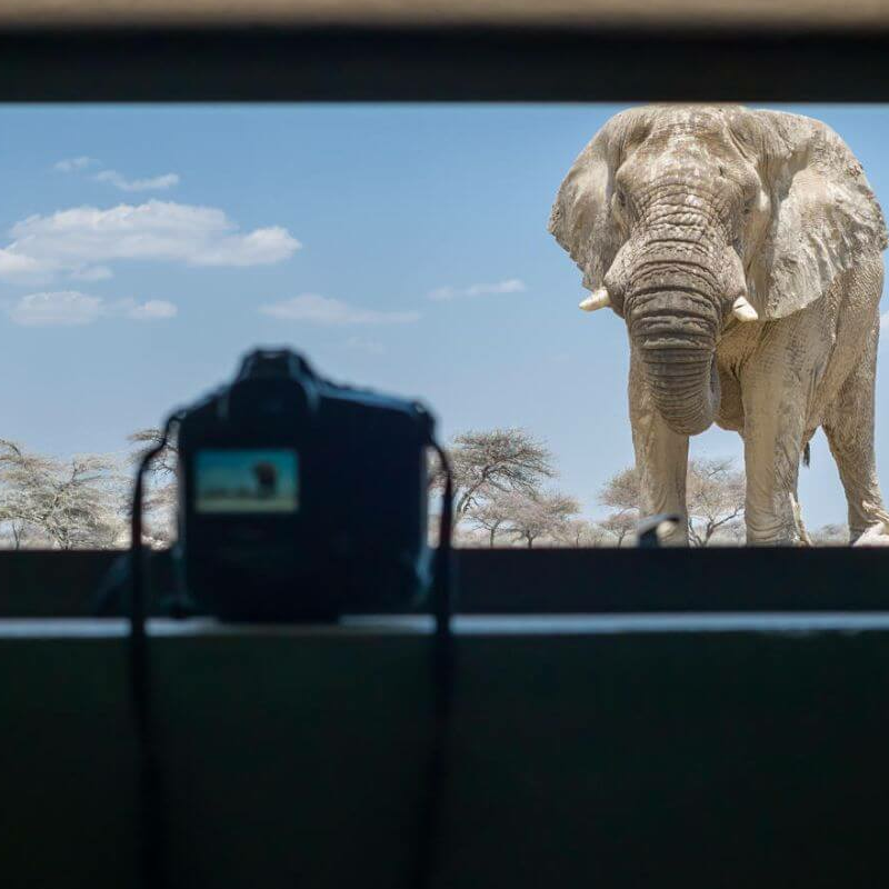 Etosha