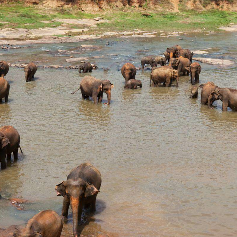Gal Oya Nationalpark