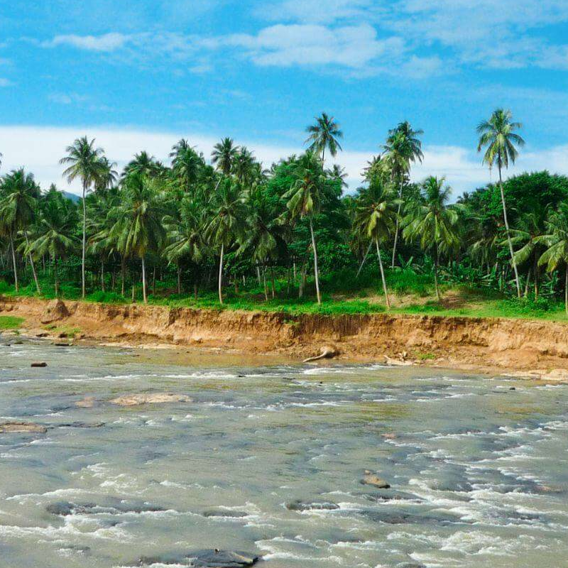 Gal Oya Nationalpark