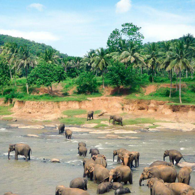 Gal Oya Nationalpark