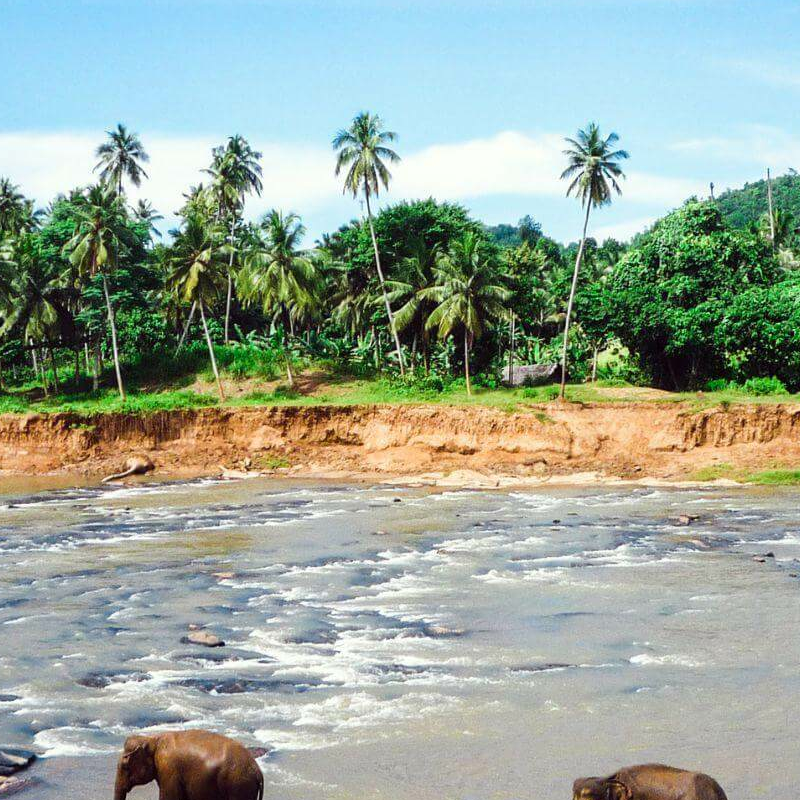 Gal Oya Nationalpark