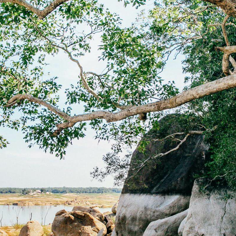 Gal Oya Nationalpark