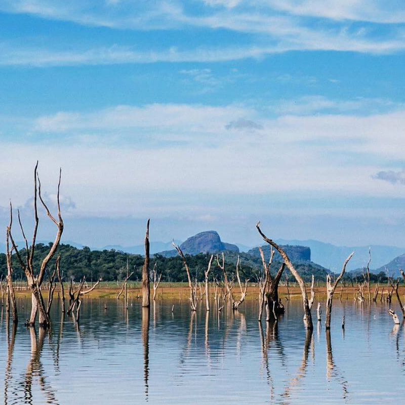 Gal Oya Nationalpark