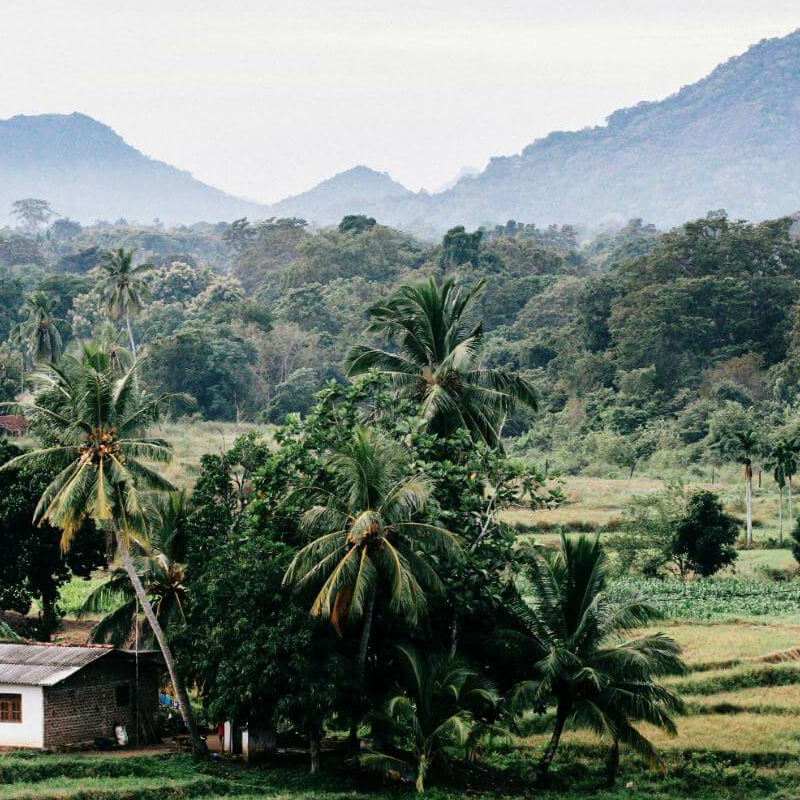 Gal Oya Nationalpark