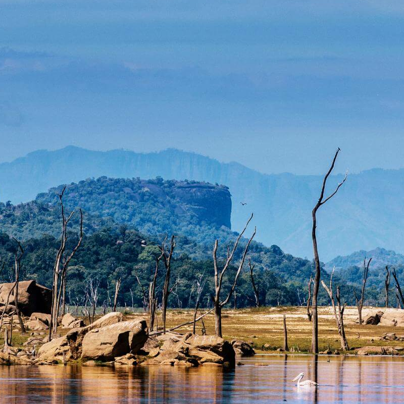 Gal Oya Nationalpark