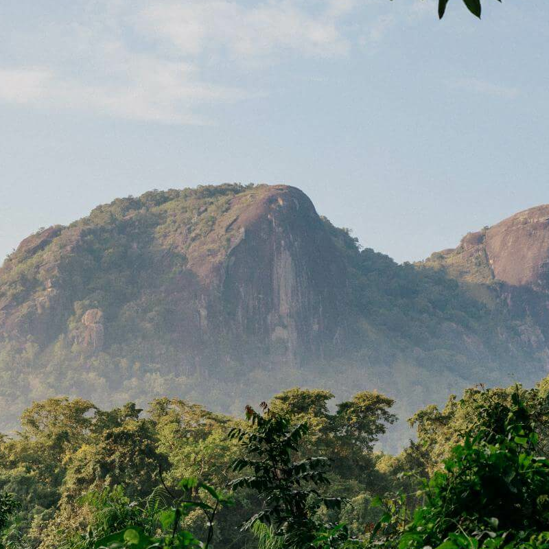 Gal Oya Nationalpark