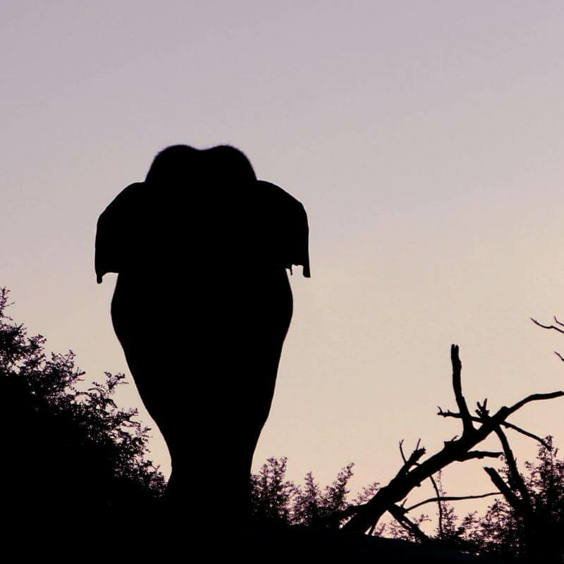 Gal Oya Nationalpark