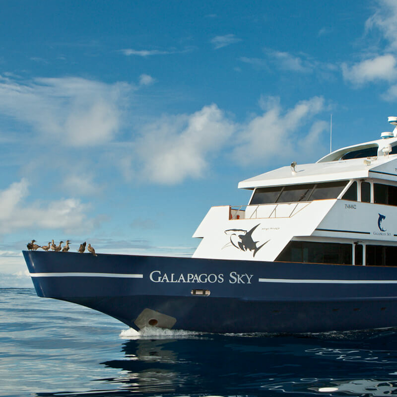 Galapagos Kreuzfahrt