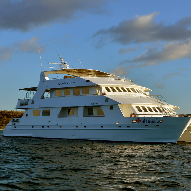 Galapagos Kreuzfahrt