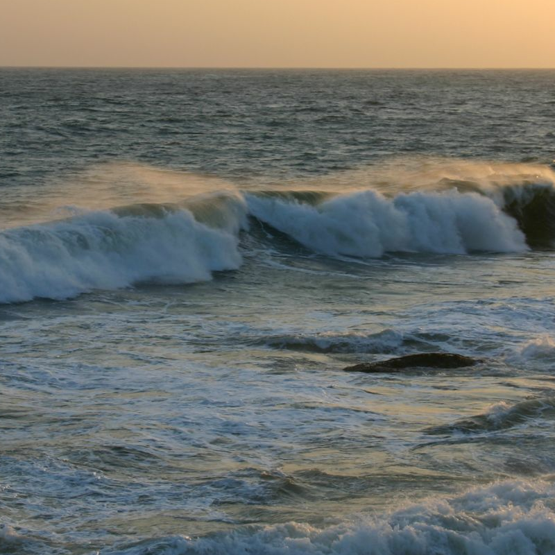 Galle