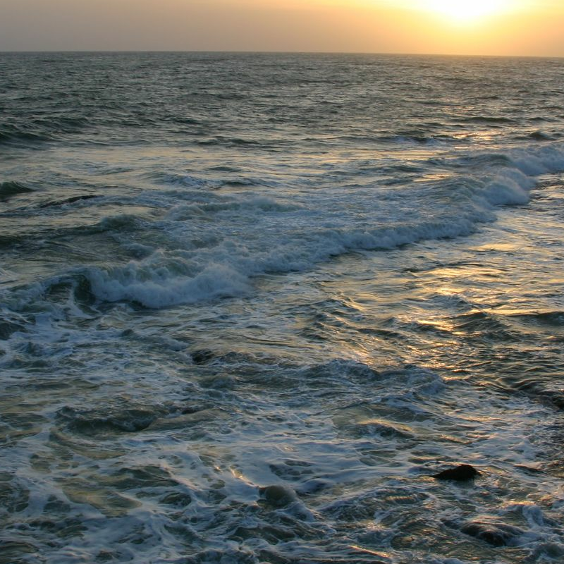 Galle