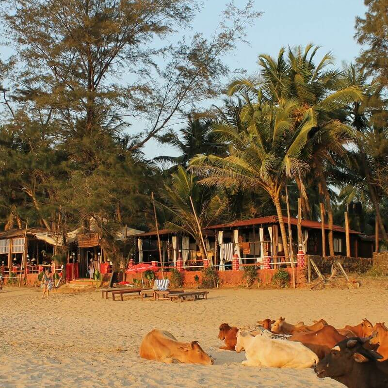Goa Indien
