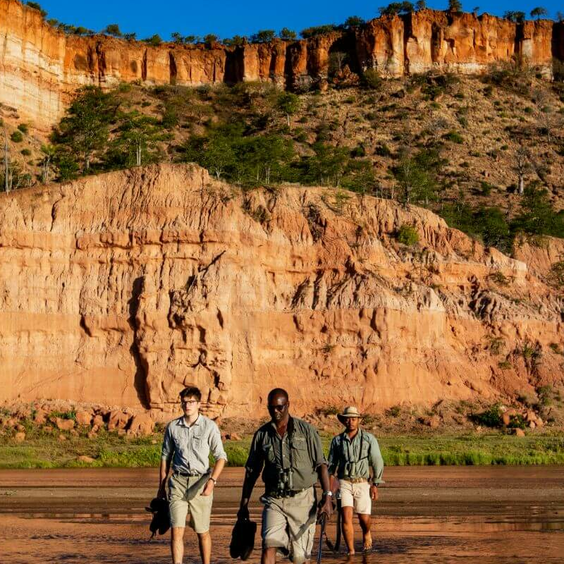 Gonarezhou