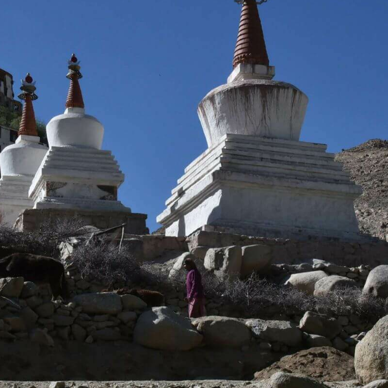 Hemis Nationalpark