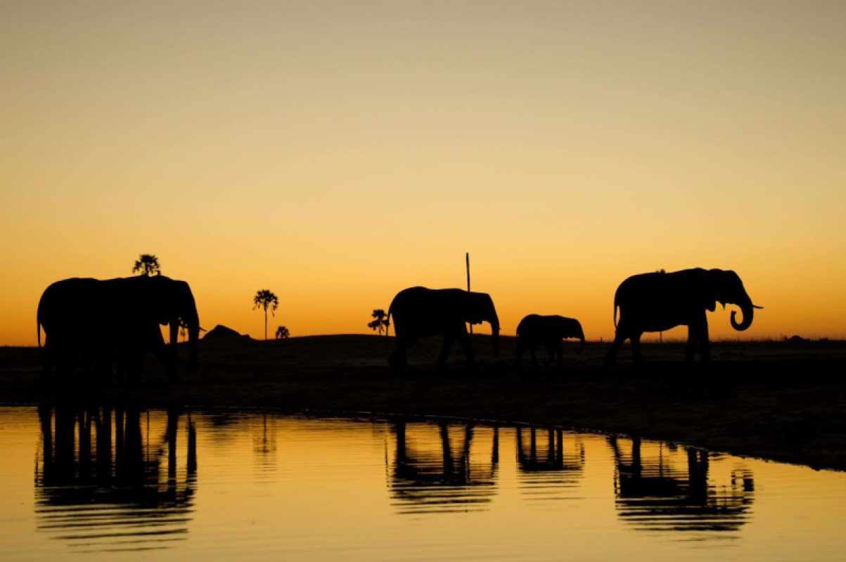 Hwange Nationalpark