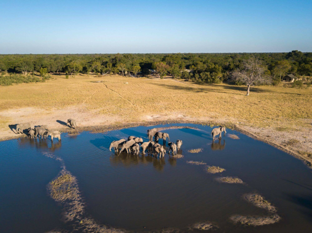 Hwange Nationalpark