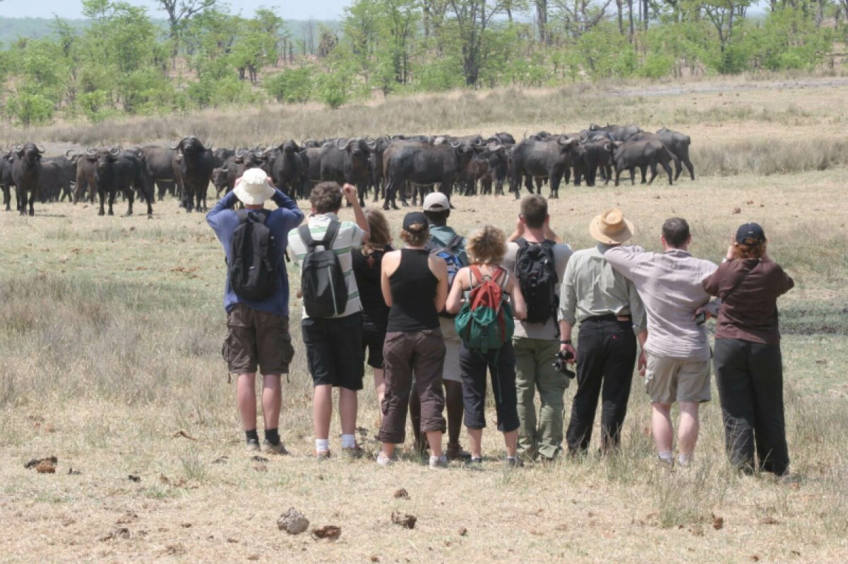 Hwange Nationalpark