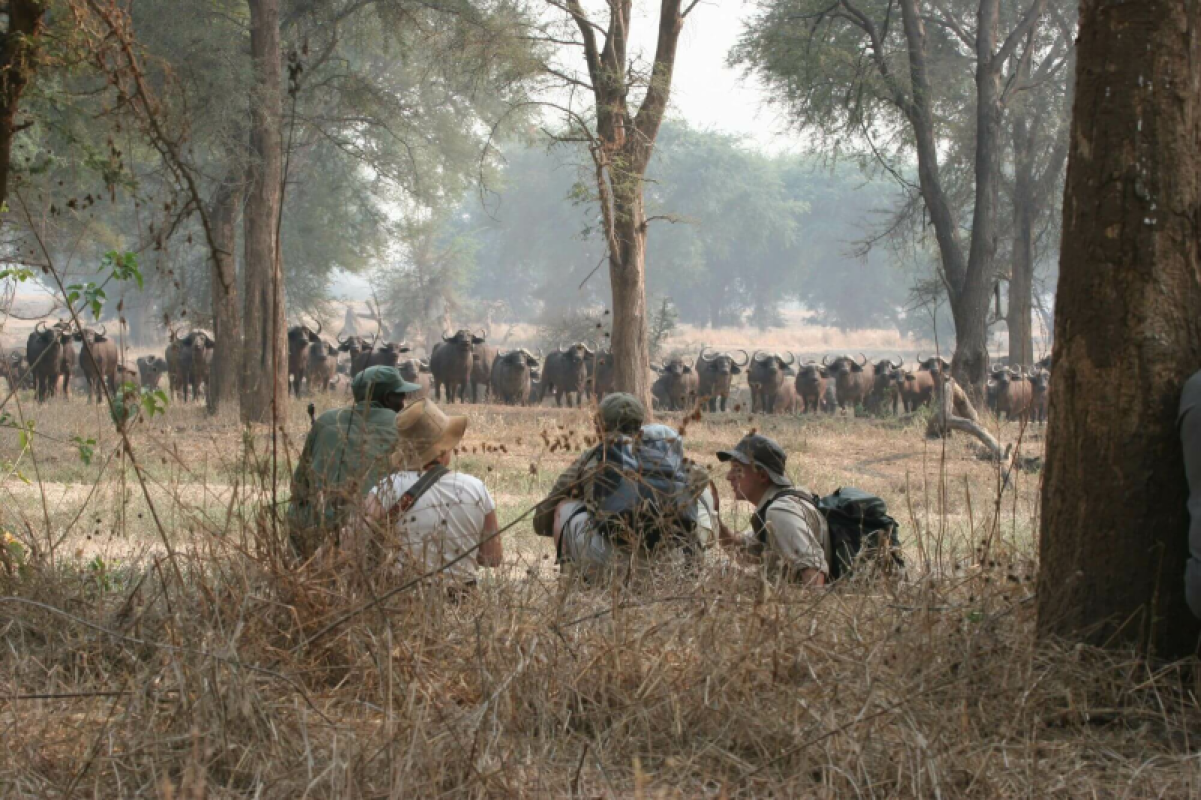 Hwange Nationalpark